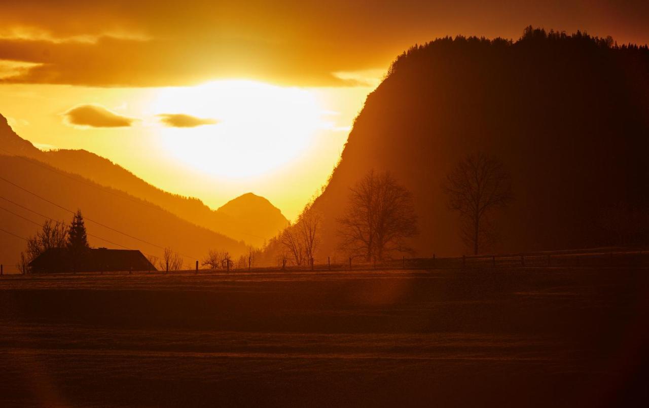 Appartement Eckwald Altenmarkt-Zauchensee Altenmarkt im Pongau Dış mekan fotoğraf